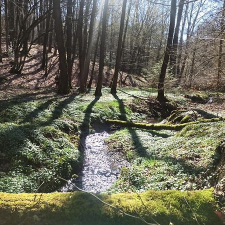 Wellness Ferienwohnung Biene Im Bergischen Land Much Exterior foto